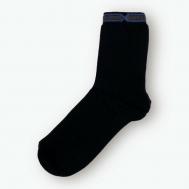 Мужские носки , 1 пара, классические, антибактериальные свойства, утепленные, размер 43/44, черный WINNER