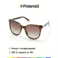 Солнцезащитные очки , бабочка, оправа: пластик, устойчивые к появлению царапин, с защитой от УФ, поляризационные, для женщин, коричневый Polaroid