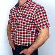 Рубашка , нарядный стиль, прилегающий силуэт, короткий рукав, размер S, бордовый, красный Palmary Leading