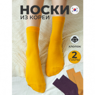 Носки , 2 пары, размер 230-250 мм, фиолетовый, желтый GGRN
