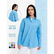 Рубашка , стиль ретро, оверсайз, длинный рукав, однотонная, размер 44, голубой BUFFOON