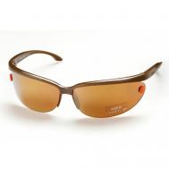 Солнцезащитные очки , овальные, оправа: пластик, с защитой от УФ, для мужчин, коричневый Cerruti 1881