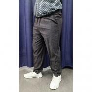 Беговые брюки , размер 62, черный ANNEX