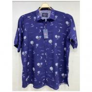 Рубашка , размер 5XL(68), синий CASTELLI