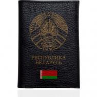 Обложка для паспорта , натуральная кожа, отделение для карт, черный, золотой SignumCase