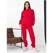 Костюм , худи и брюки, спортивный стиль, оверсайз, утепленный, карманы, размер 44, красный Промдизайн