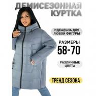 куртка  демисезонная, силуэт прямой, капюшон, утепленная, подкладка, ветрозащитная, карманы, влагоотводящая, размер 68/70, синий Без бренда