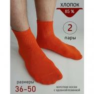 Носки , 2 пары, размер 39-41, оранжевый Biz-one