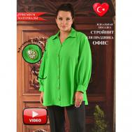Блуза  , повседневный стиль, свободный силуэт, длинный рукав, размер 62-64, зеленый Darkwin