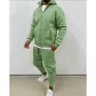 Костюм , толстовка и брюки, спортивный стиль, свободный силуэт, капюшон, утепленный, размер 52, зеленый Sport Collection