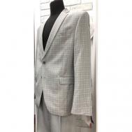 Костюм , пиджак и брюки, повседневный стиль, полуприлегающий силуэт, однобортная, размер 52-182, серый Truvor