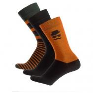Мужские носки , 2 пары, классические, размер 29, черный, оранжевый Pantelemone