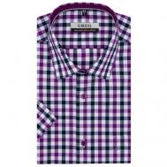 Рубашка , размер 44, фиолетовый Greg