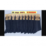 Мужские носки , 10 пар, размер 27(41-42), черный Dmitrov Original