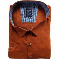 Рубашка , размер 10XL(80), оранжевый Bettino