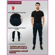 брюки для фитнеса , карманы, размер 50/175-180, синий Relax Mode