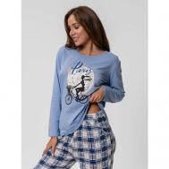 Пижама , шорты, футболка, брюки, длинный рукав, размер 56, голубой TAJSHOP