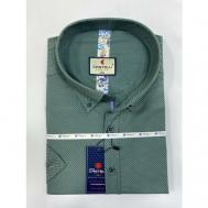 Рубашка , размер 9XL(76), зеленый CASTELLI