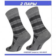 Мужские носки , 2 пары, размер 27(42-43), серый DiWaRi