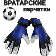 Вратарские перчатки , размер 10, мультиколор AZ Pro Sport