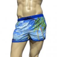 Шорты для плавания боксеры , размер M, синий Allen Cox