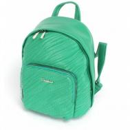Рюкзак , зеленый David Jones
