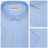 Рубашка , размер 52, голубой Westhero