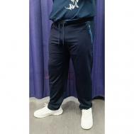 Беговые брюки , размер 5XL(68), синий Ramon Miele