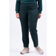 Брюки чинос  , демисезон/зима, полуприлегающий силуэт, повседневный стиль, карманы, размер 54, зеленый Svesta