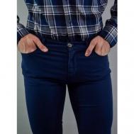 Брюки  демисезонные, повседневные, прямой силуэт, размер 34, синий Trussardi Jeans