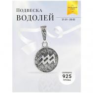 Подвеска на шею серебро 925 кулон Знак зодиака Водолей BEREGY
