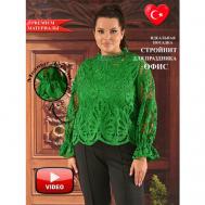 Блуза  , повседневный стиль, прилегающий силуэт, длинный рукав, размер 52-54, зеленый Darkwin