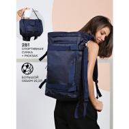 Сумка спортивная сумка-рюкзак , 22 л, 50х30х15 см, ручная кладь, синий UrbanStorm