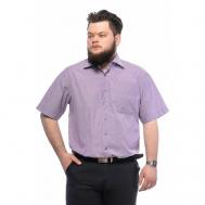 Рубашка , размер 56/XL/170-178/44 ворот, фиолетовый Imperator