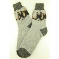 Мужские носки , 1 пара, классические, размер 42/44, мультиколор Рассказовские носки