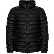 куртка , демисезон/зима, силуэт прямой, капюшон, стеганая, карманы, размер 50, черный Peuterey