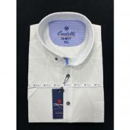 Рубашка , размер 2XL(60), белый CASTELLI