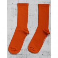 Носки  унисекс , 1 пара, высокие, антибактериальные свойства, вязаные, износостойкие, размер 41-45, оранжевый snugsocks