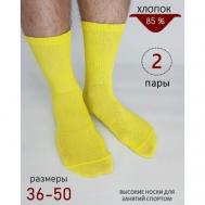 Носки , 2 пары, размер 48-50, желтый Biz-one