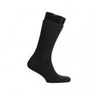 Мужские носки , 1 пара, классические, махровые, размер 27, черный Сибирь