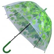 Зонт , полуавтомат, купол 80 см., прозрачный, для женщин, зеленый Мультидом