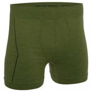 Термобелье шорты , шерсть, размер M, хаки, зеленый Freenord