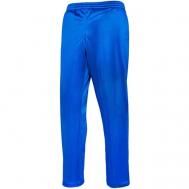 брюки , размер S, синий Ро-спорт