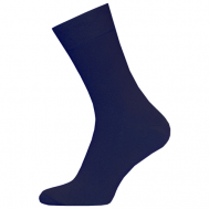 Мужские носки , 1 пара, классические, размер 27, черный БРЕСТСКИЕ