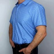 Рубашка , размер L, голубой Palmary Leading