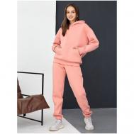 Костюм , худи и брюки, спортивный стиль, оверсайз, утепленный, карманы, размер 44, розовый Промдизайн