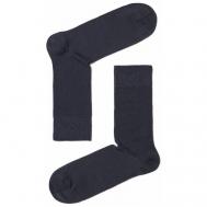 Мужские носки , 1 пара, классические, размер 25 (40-41), серый БРЕСТСКИЕ