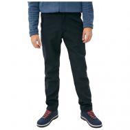 брюки , подкладка, карманы, мембрана, утепленные, водонепроницаемые, размер 54, синий Tagerton