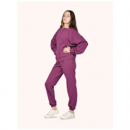 Костюм , толстовка и брюки, повседневный стиль, карманы, размер 48 (L), фиолетовый BilliBOO