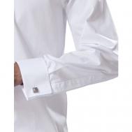 Рубашка , размер 45 182-188, белый Dave Raball